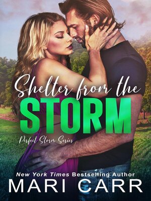 cover image of Shelter from the Storm